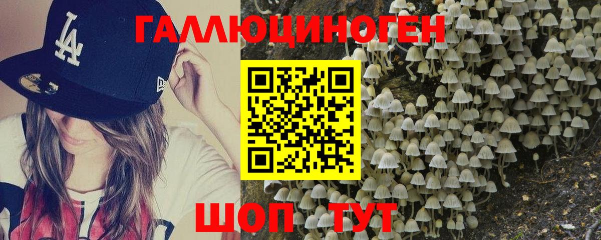 МЕФ Ижевск