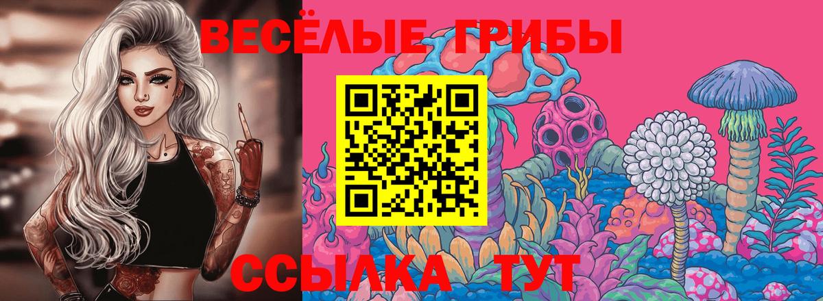 где можно купить наркотик  Псилоцибиновые грибы Psilocybe  Вход с VPN  Ижевск  Галлюциногенные грибы Magic Shrooms 